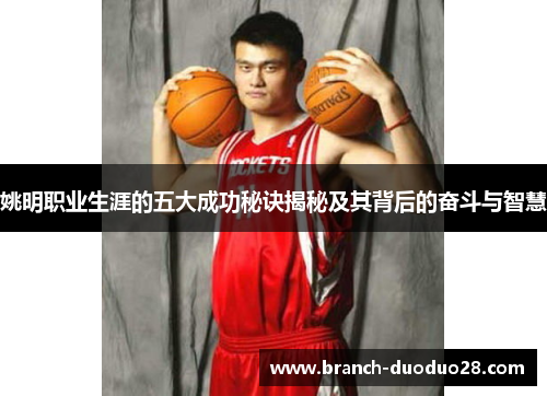 姚明职业生涯的五大成功秘诀揭秘及其背后的奋斗与智慧