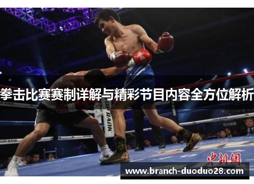 拳击比赛赛制详解与精彩节目内容全方位解析