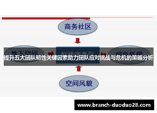 提升五大团队韧性关键因素助力团队应对挑战与危机的策略分析
