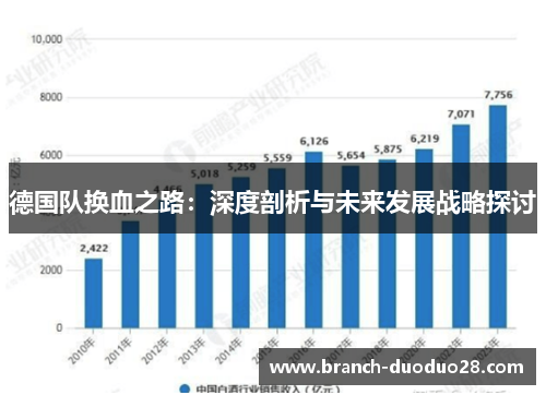 德国队换血之路：深度剖析与未来发展战略探讨