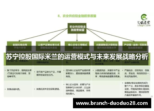 苏宁控股国际米兰的运营模式与未来发展战略分析