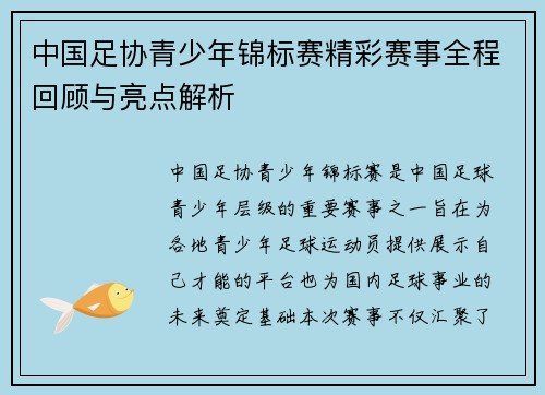 中国足协青少年锦标赛精彩赛事全程回顾与亮点解析