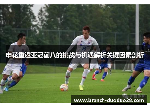 申花重返亚冠前八的挑战与机遇解析关键因素剖析