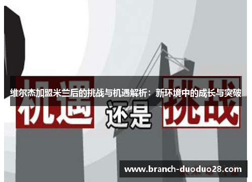 维尔杰加盟米兰后的挑战与机遇解析：新环境中的成长与突破