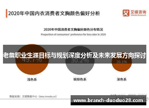 老詹职业生涯目标与规划深度分析及未来发展方向探讨