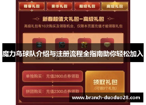 魔力鸟球队介绍与注册流程全指南助你轻松加入